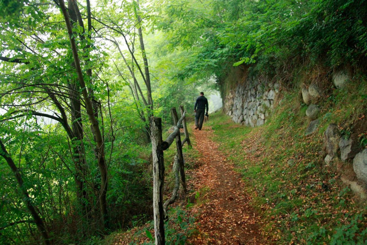 Le Belvedere Villa Salles  Luaran gambar